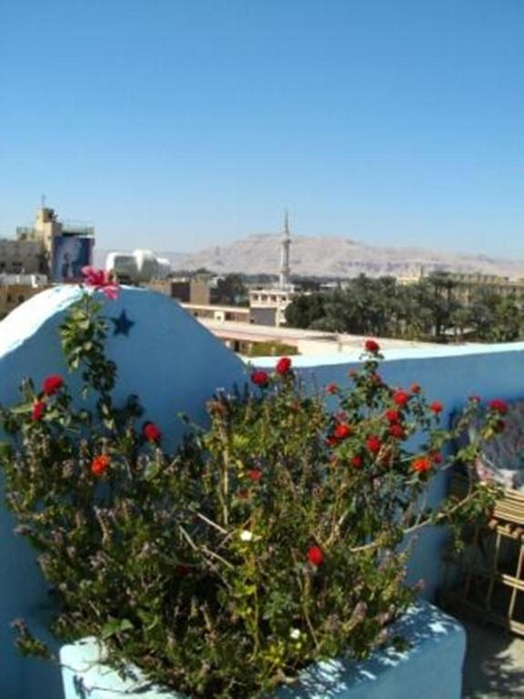 Bob Marley House Sherief Hotel Luxor Exteriér fotografie